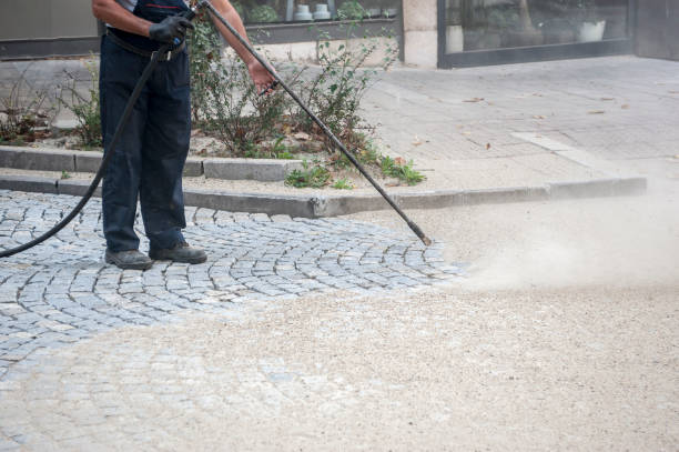 Best Pre-Holiday Cleaning  in Dickson, TN