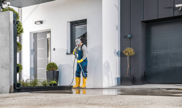 Best Graffiti Removal  in Dickson, TN